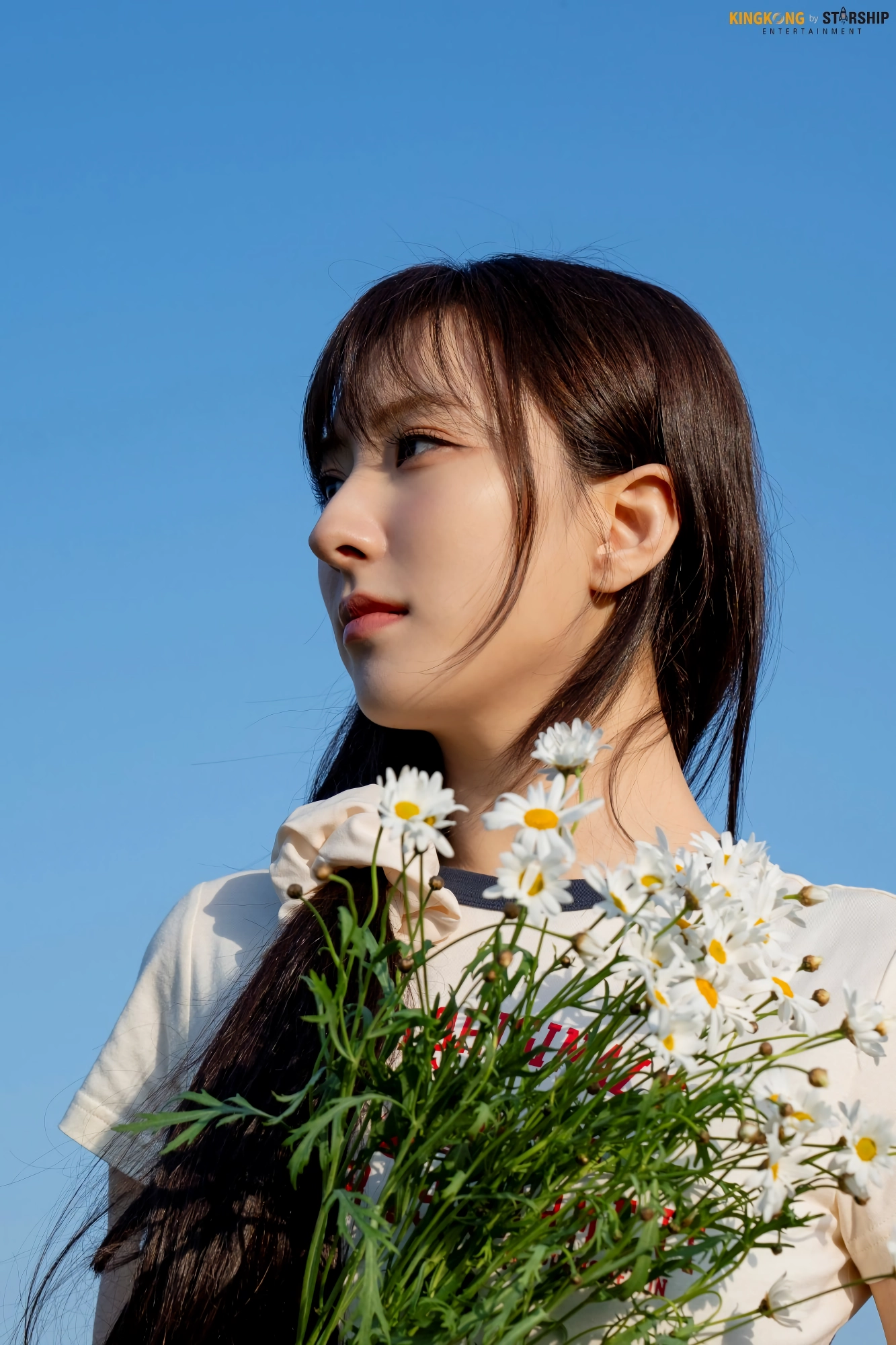 손주연