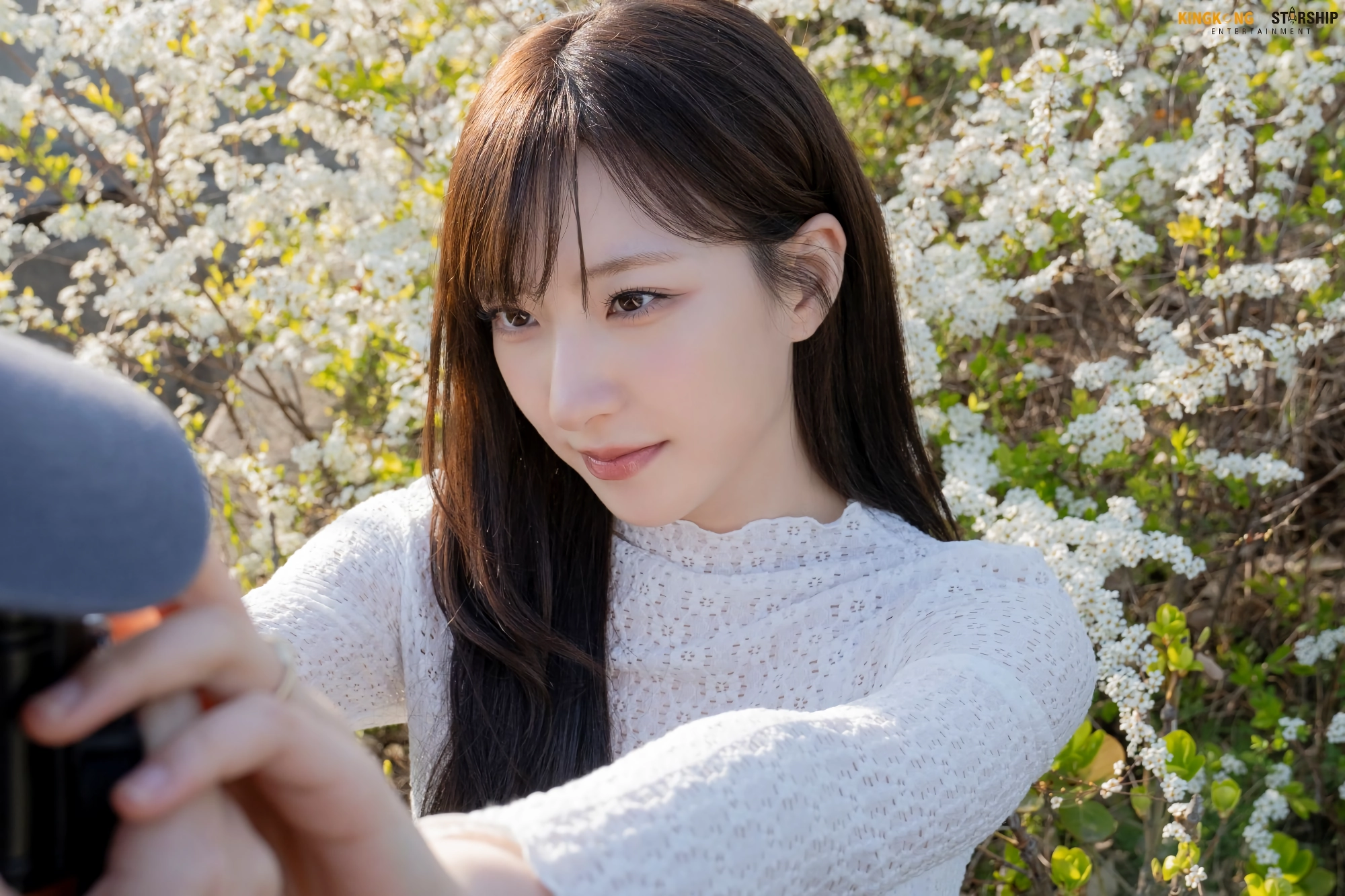 손주연