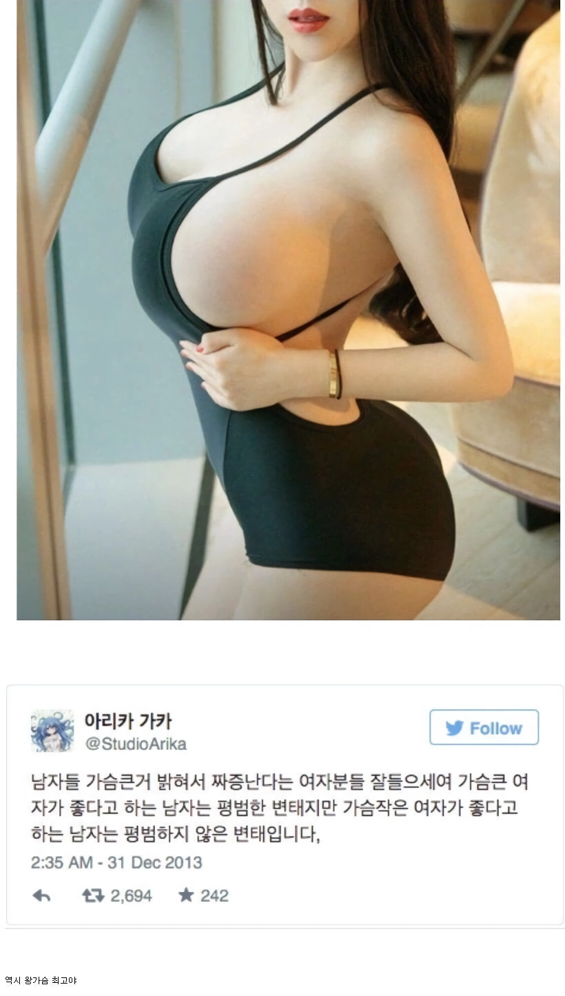 가슴 큰걸 좋다고 하면 평범한 변태