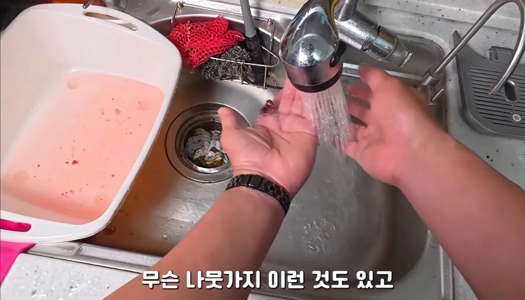 황소개구리 잡아다가 튀겨먹기(12)