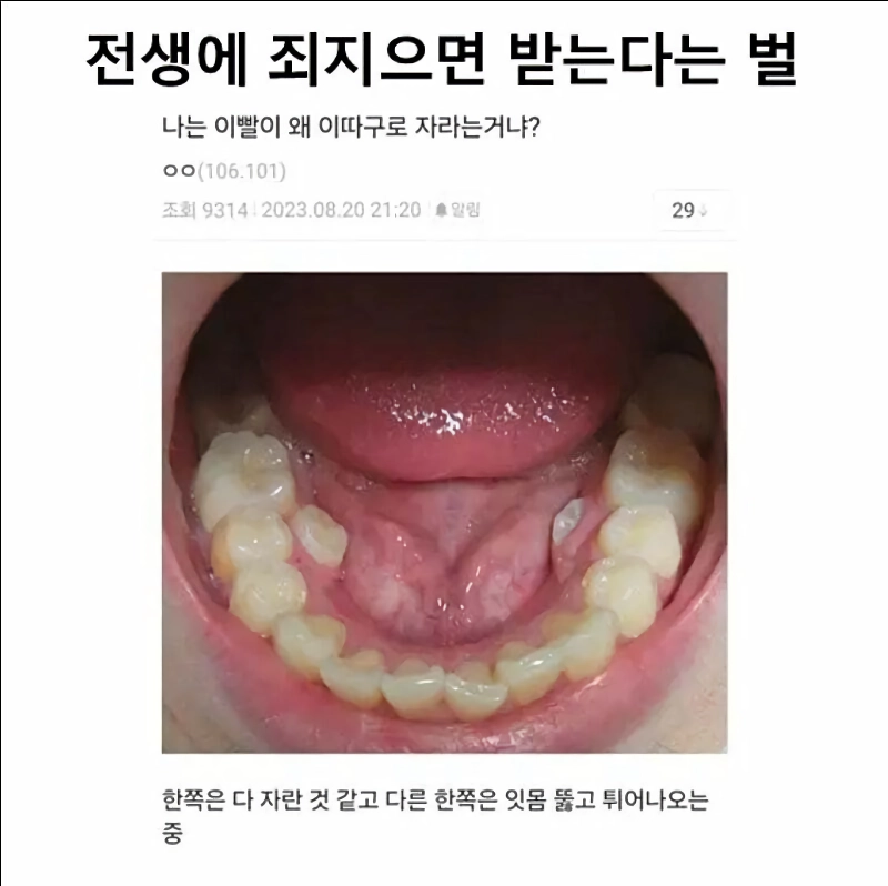 전생에 큰 죄를 지으면 받는 벌