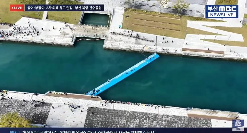오늘자 부캉이 보내는 작업 사진