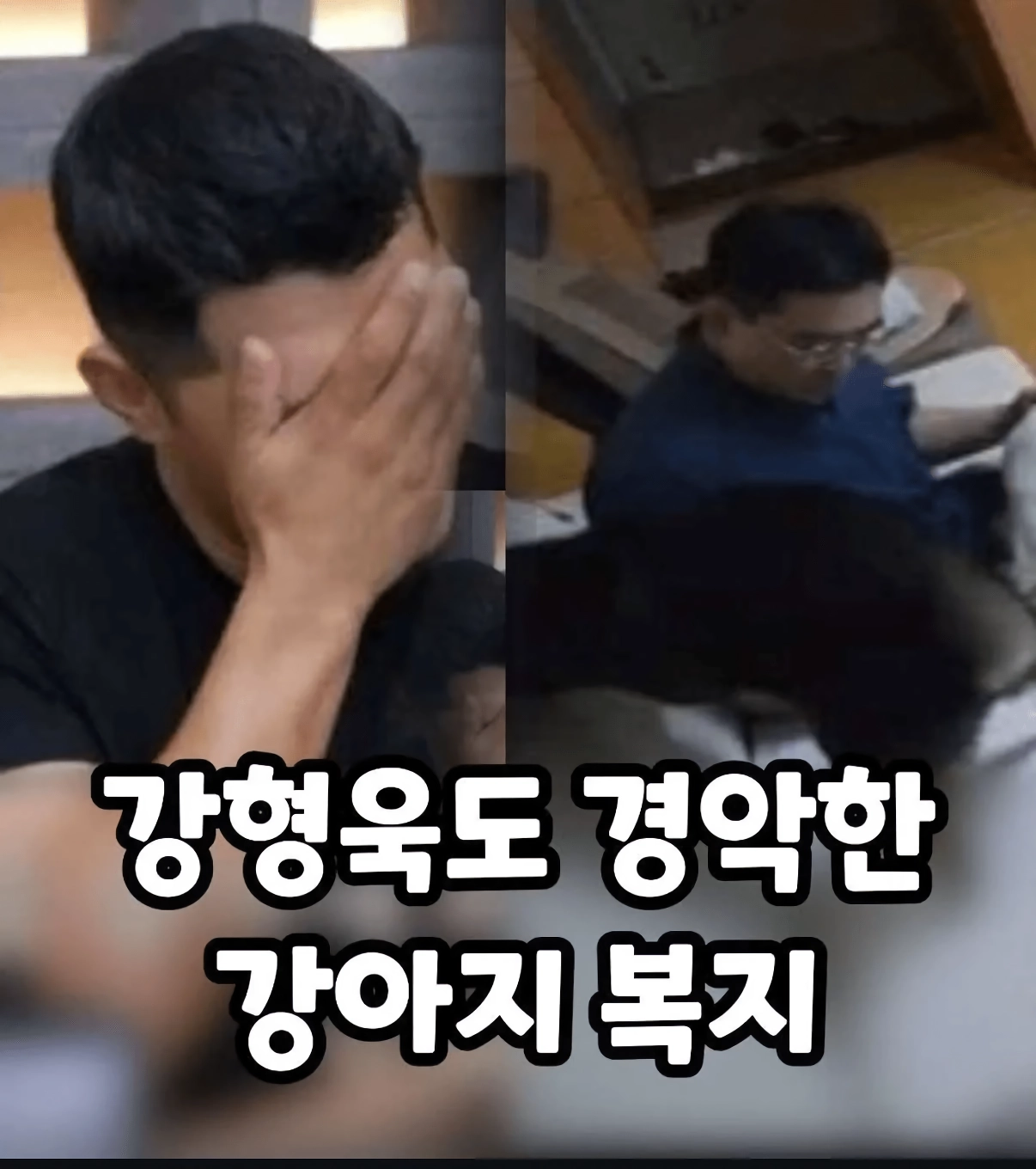 강아지 대딸 쳐주는 가족.jpg