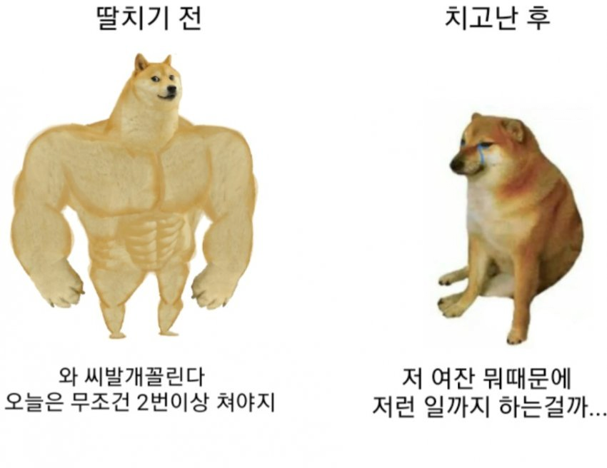 딸 치기 전과 후 반응 ㅋㅋㅋㅋ jpg