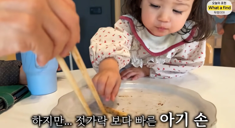올리버샘네 진도개들 근황 jpg