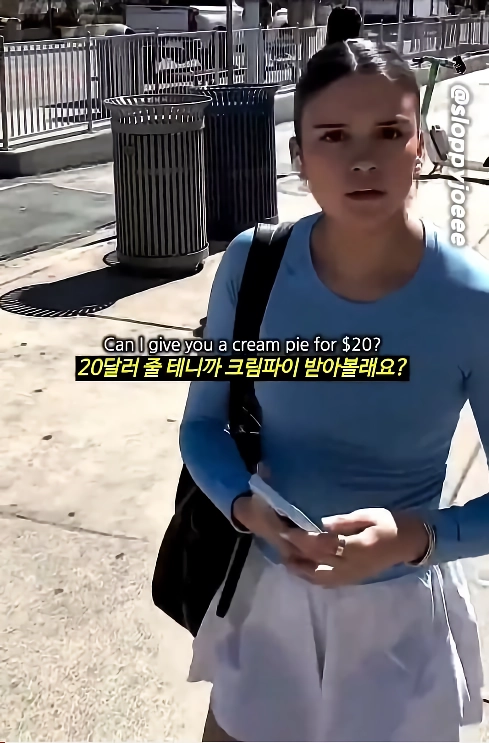ㅇㅎ)20달러에 얼굴에 크림파이 가능한가요???