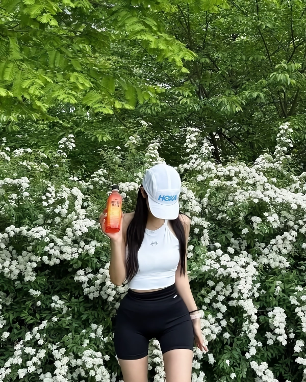 등산 갈래