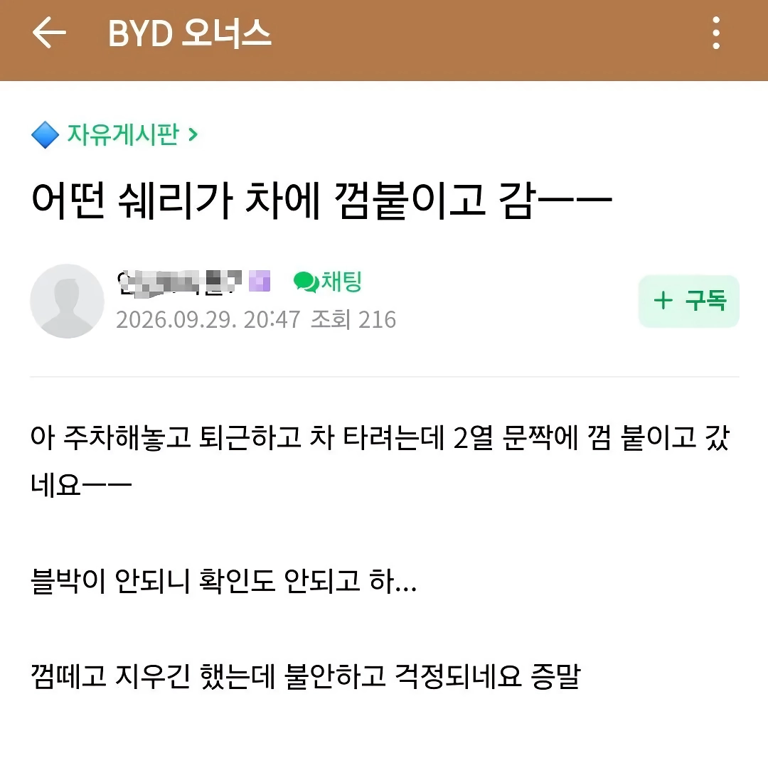 BYD차주들의 의외의 고충