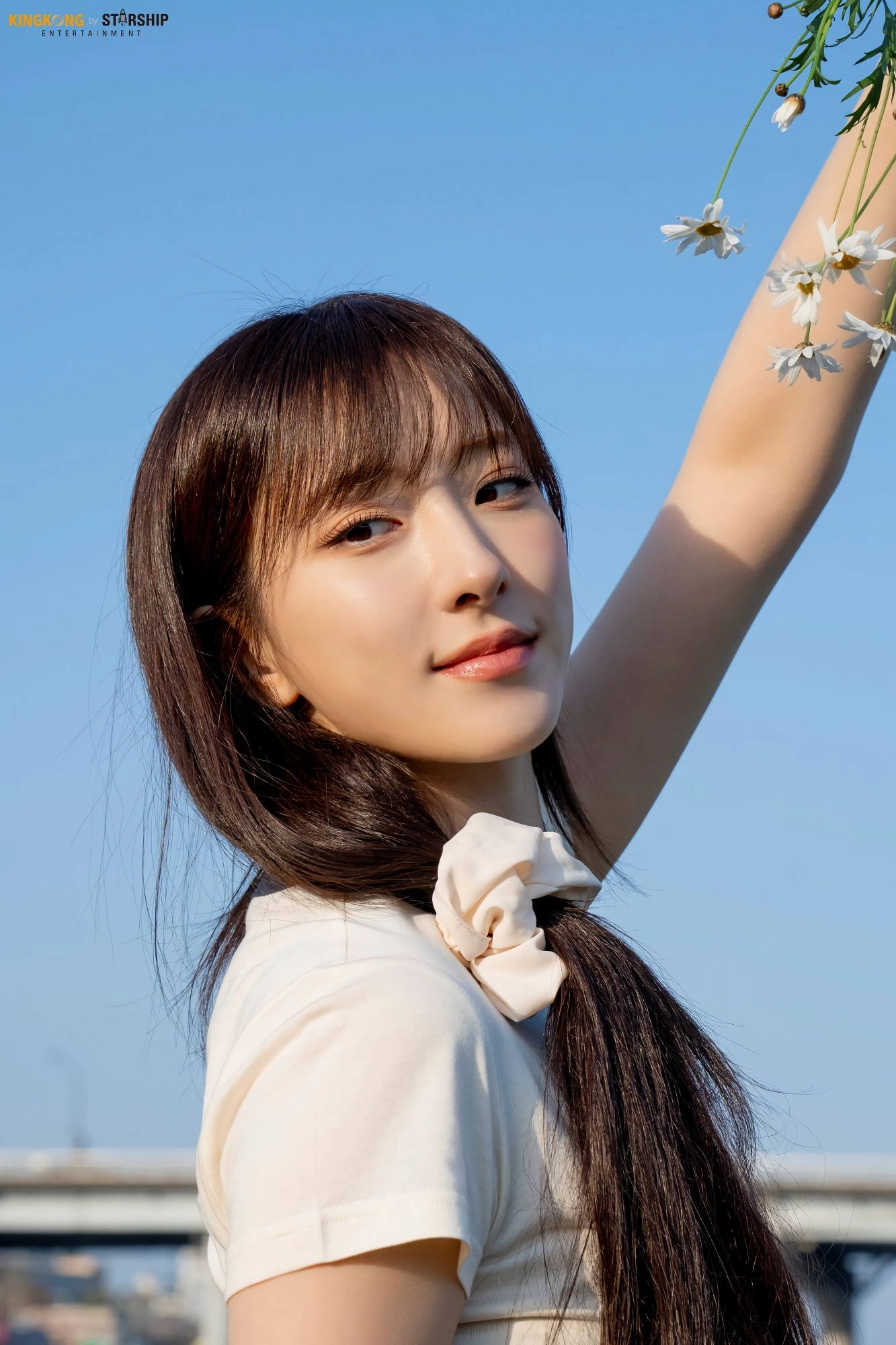 손주연