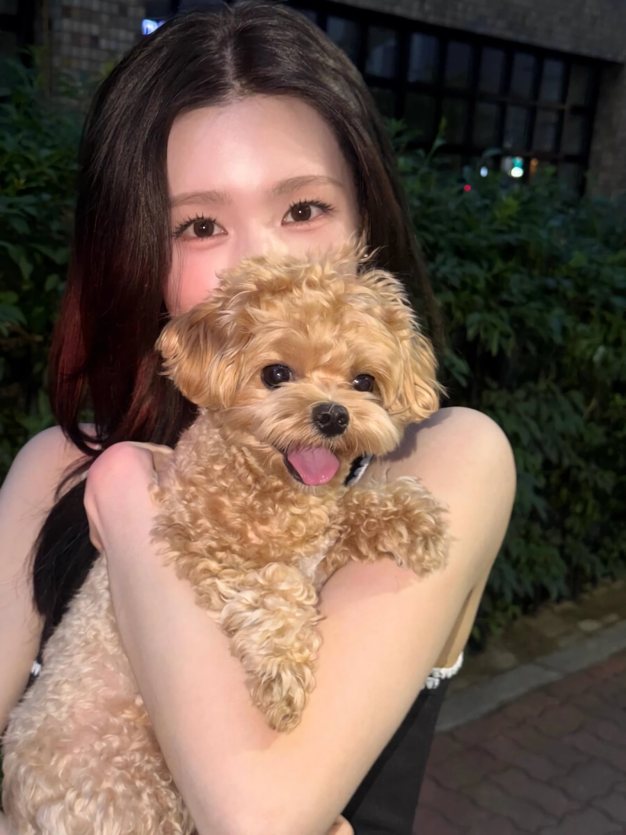 장미미 예쁠연 조미연 ㄷㄷㄷ