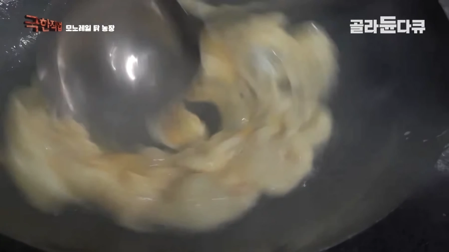 완전 동물복지 중국 닭 사육장