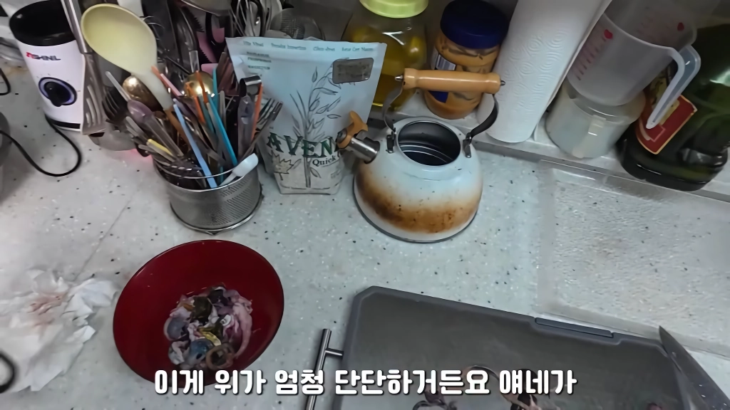 황소개구리 잡아다가 튀겨먹기(12)