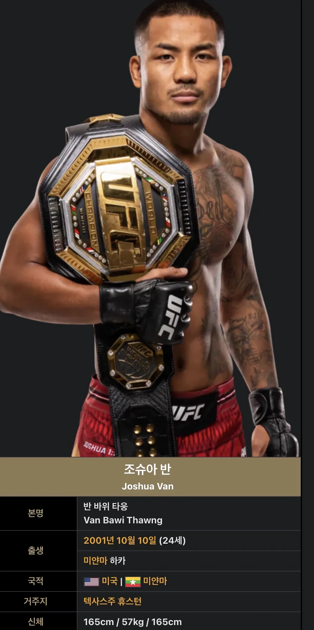 현재 난리난ufc챔피언 조슈아 반의 실체