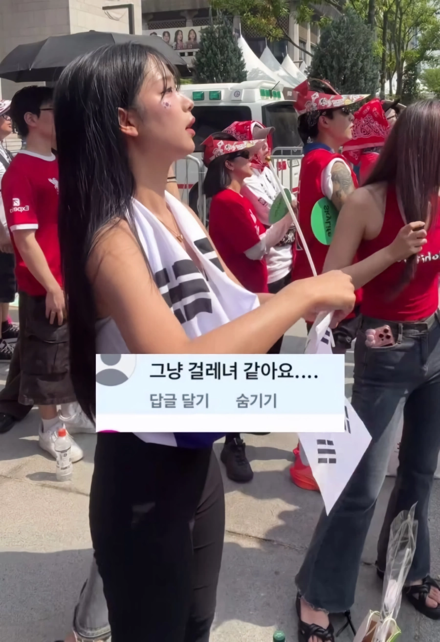 광화문 응원녀 악플 수준