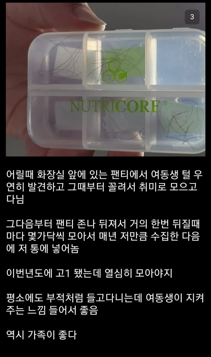 기괴,공포) 여동생 뷰지털을 수집하는 중갤러