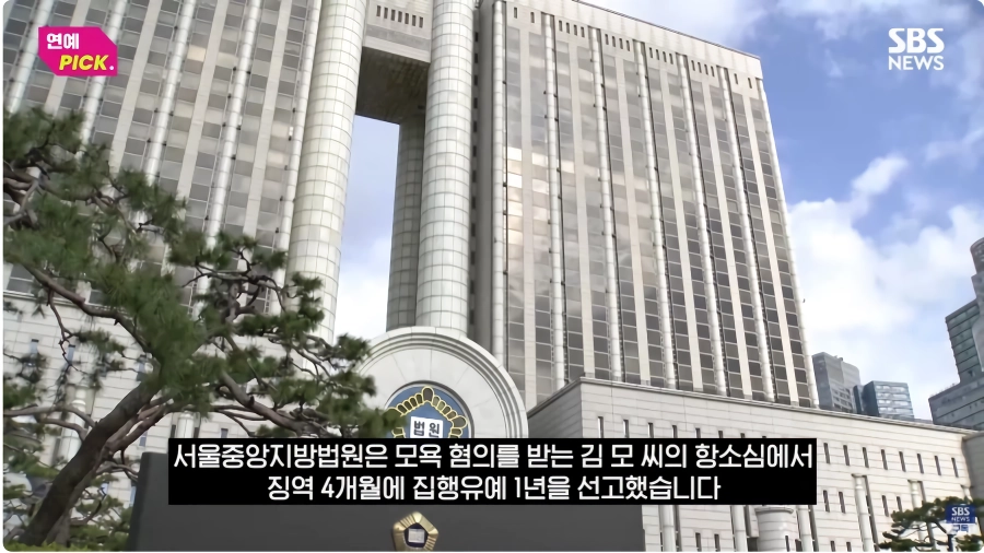 아이유 악플러 징역형