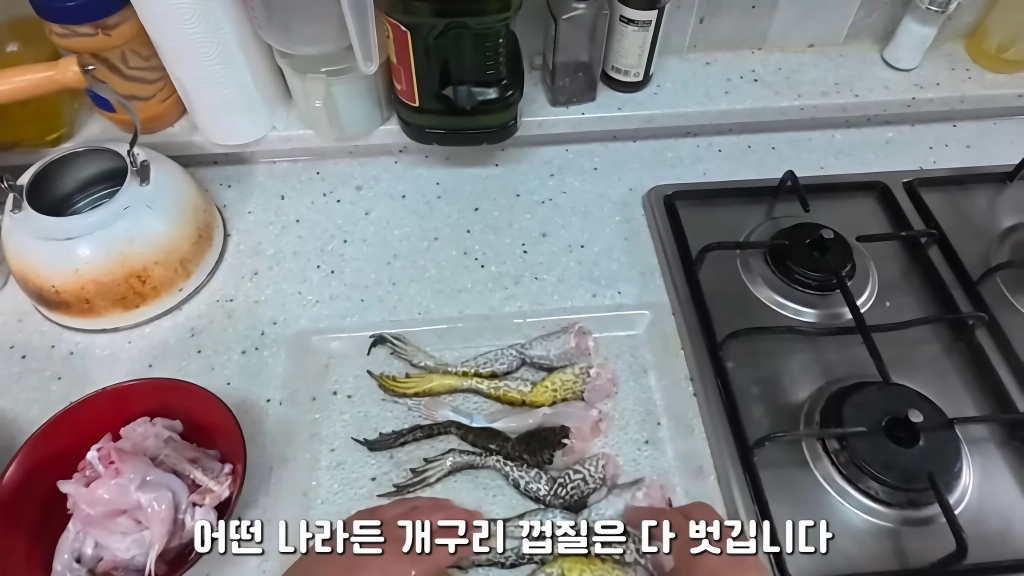 황소개구리 잡아다가 튀겨먹기(12)