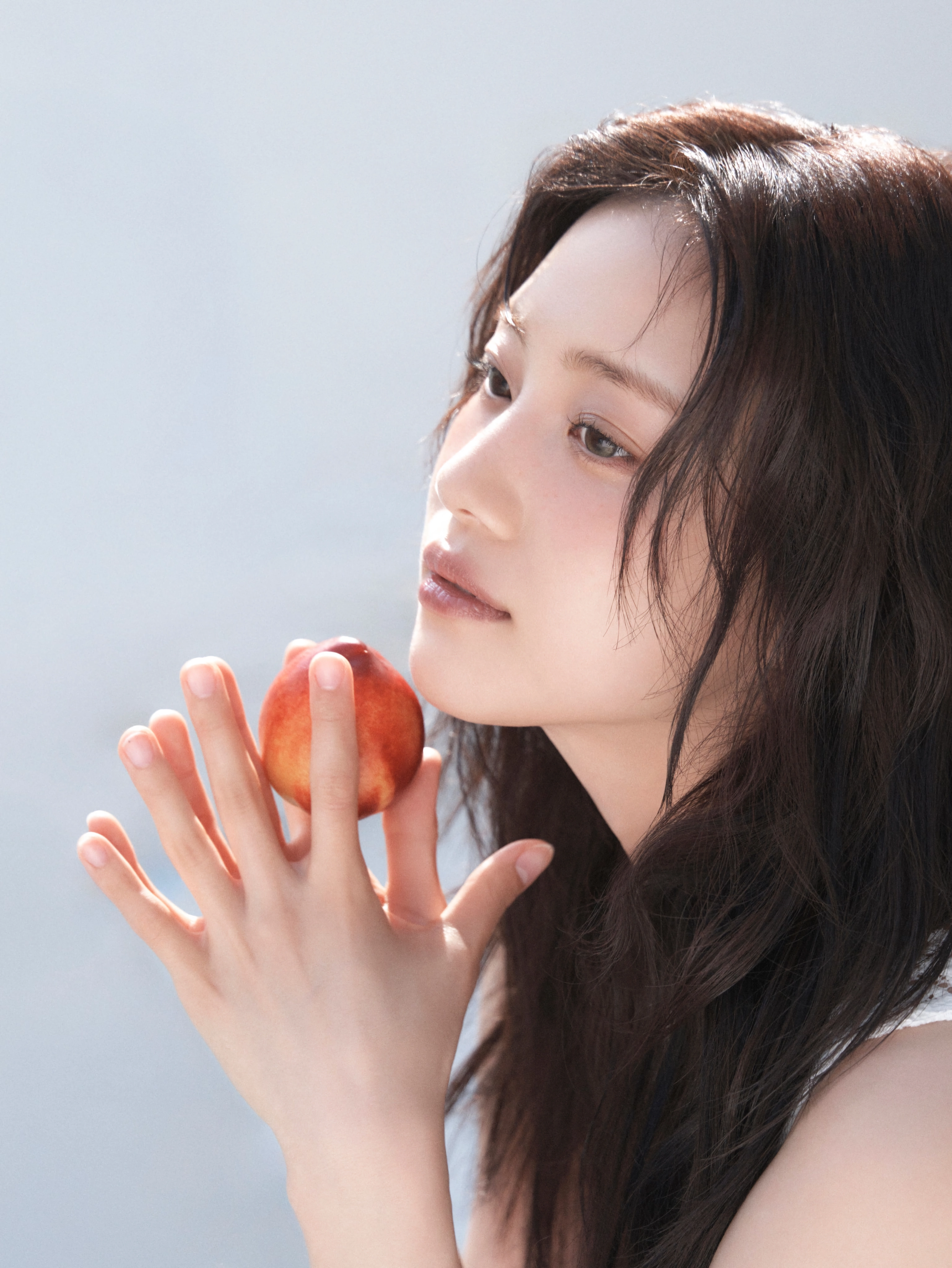 홍화연