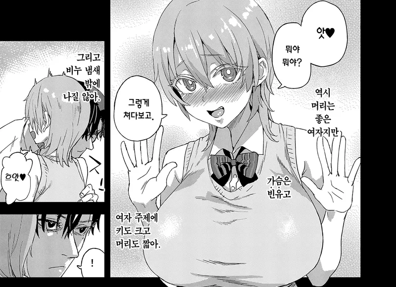 어느 작가의 가슴 크기 기준