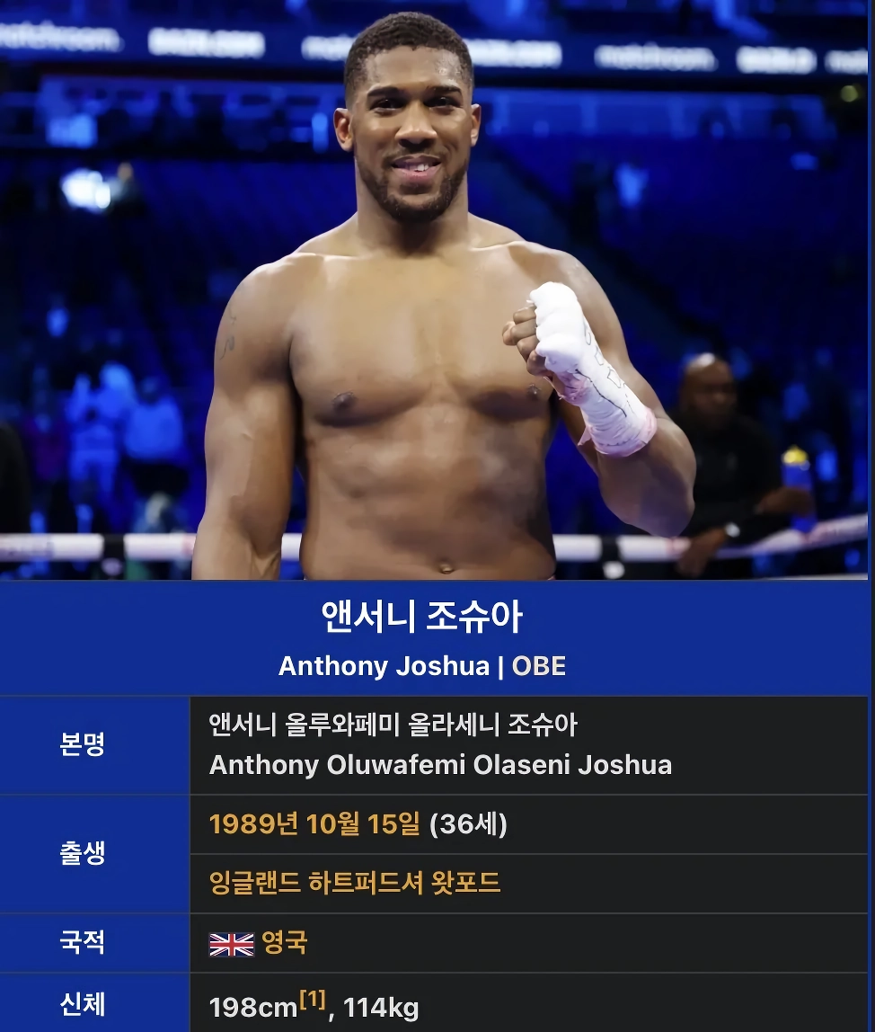 현재 난리난ufc챔피언 조슈아 반의 실체