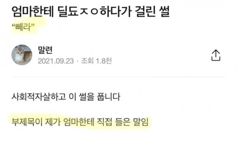 엄마한테 딜도ㅈㅇ하다가 걸린 썰.jpg