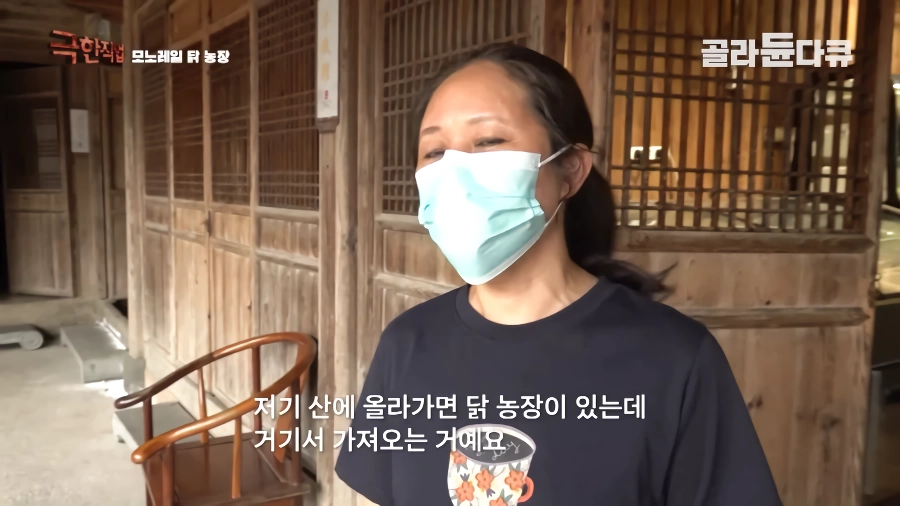 완전 동물복지 중국 닭 사육장