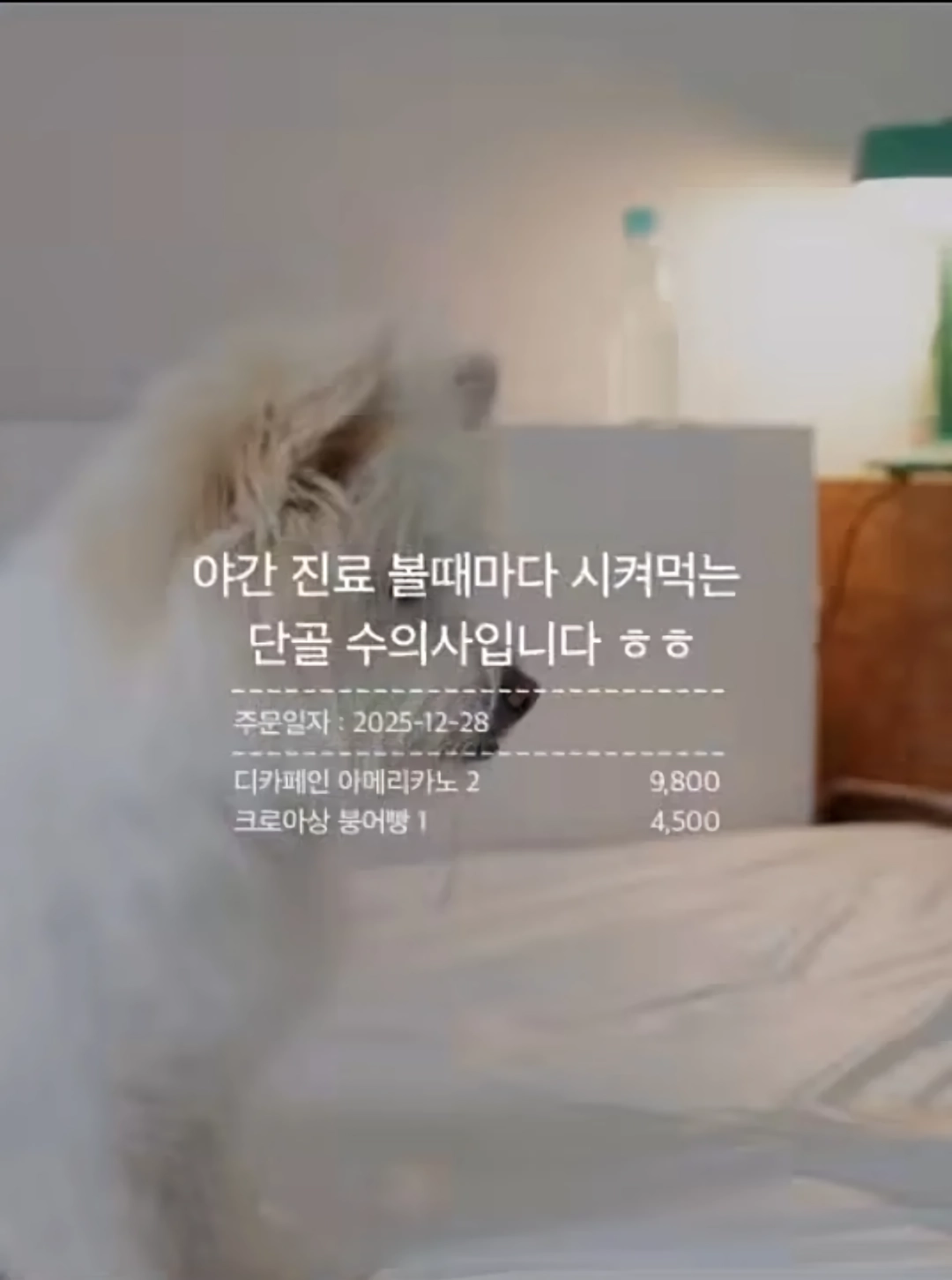 와사비 빼주세요 아이의 인생 첫 초밥 도전입니다