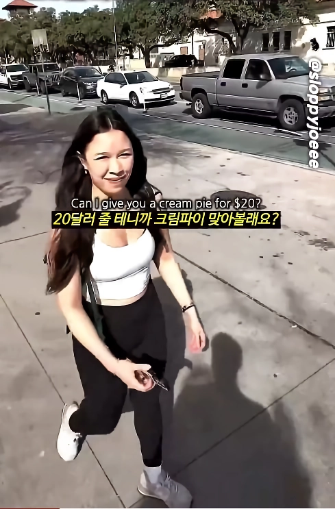 ㅇㅎ)20달러에 얼굴에 크림파이 가능한가요???