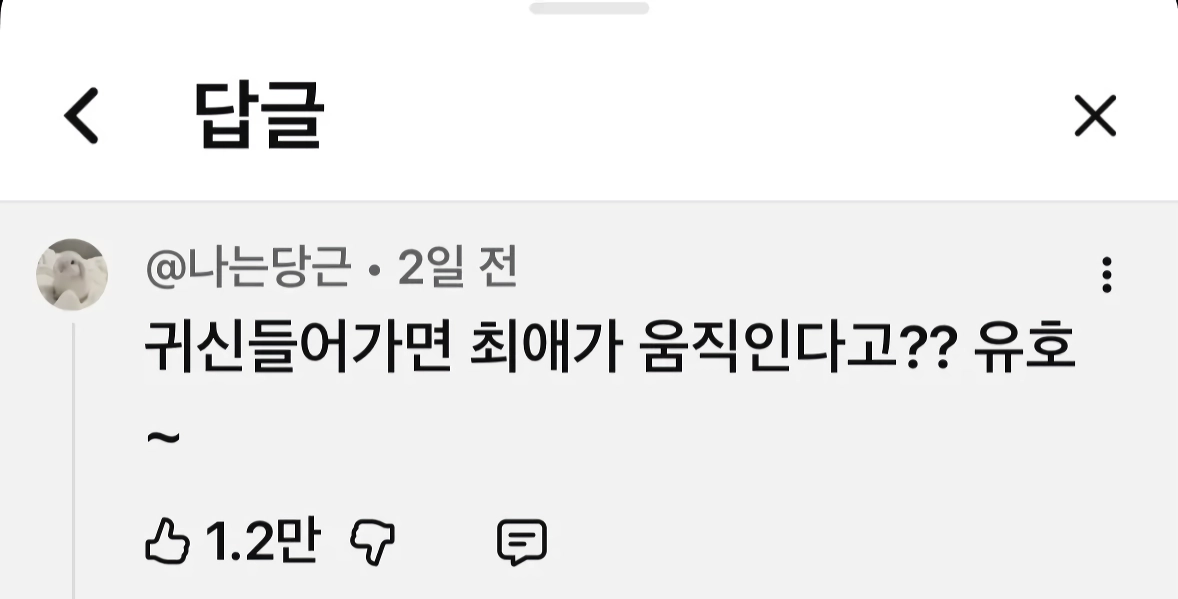ㅇㅎ) 토이토이 집에 사람 모양 피규어를 두면 안 되는 이유와 디시인들 반응