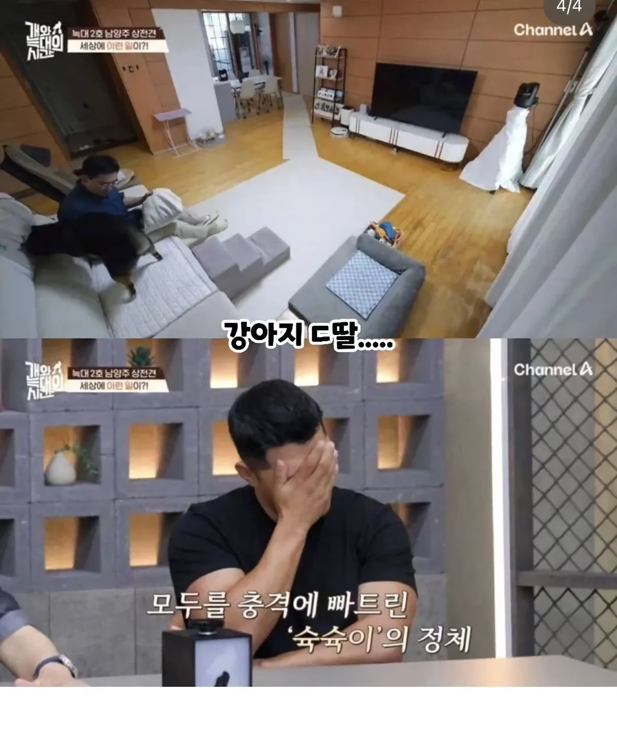 강아지 대딸 쳐주는 가족.jpg