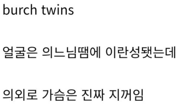 ㅇㅎ) 팬들을 위한 사이트에서 인기절정인 쌍둥이