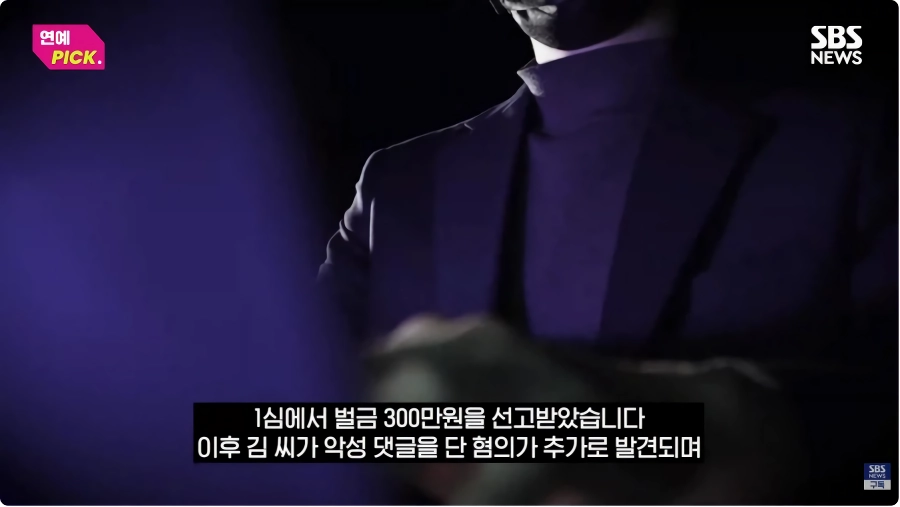 아이유 악플러 징역형
