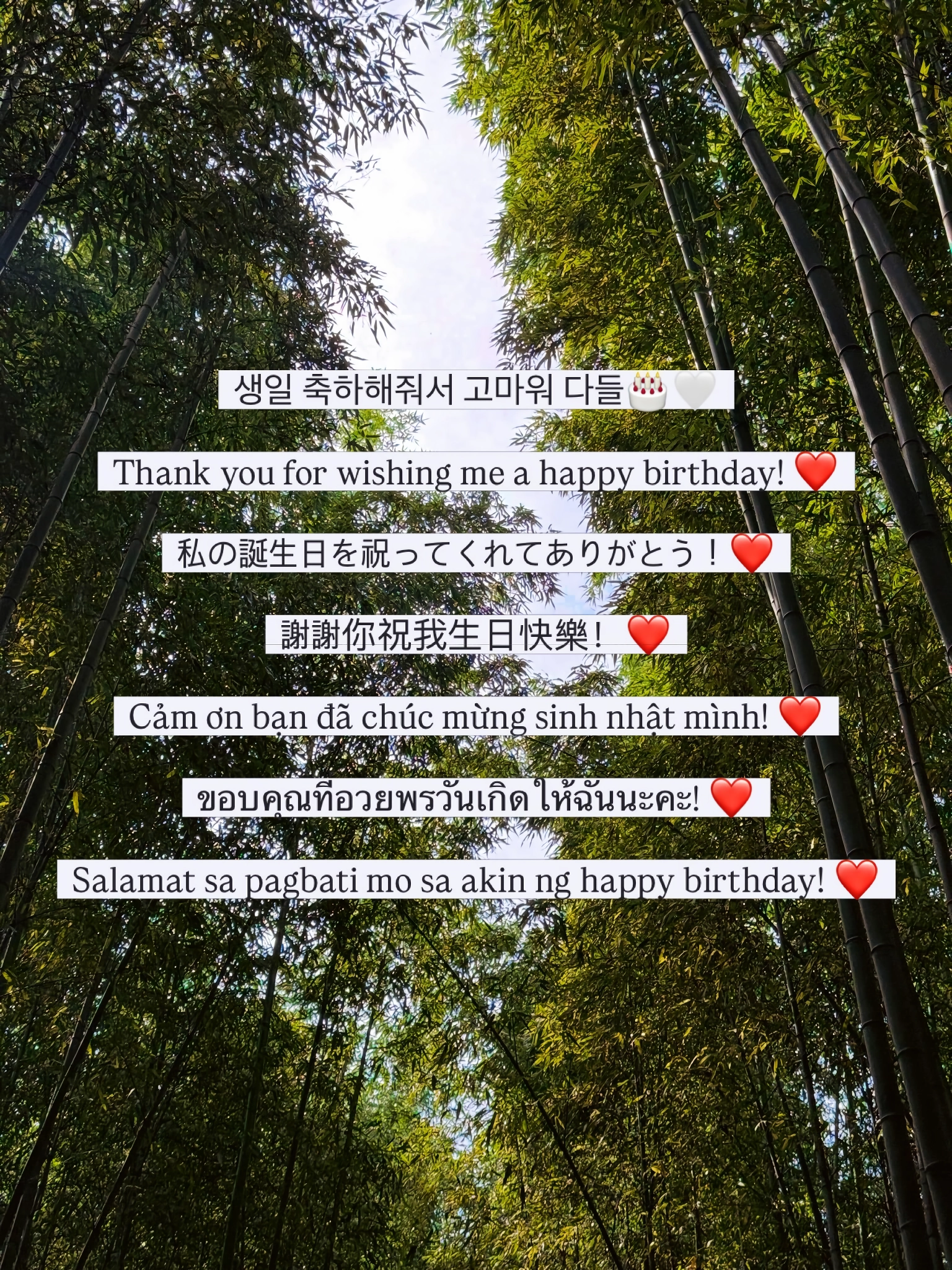 (ㅎㅂ) 생일맞은 소연(꽃빵)