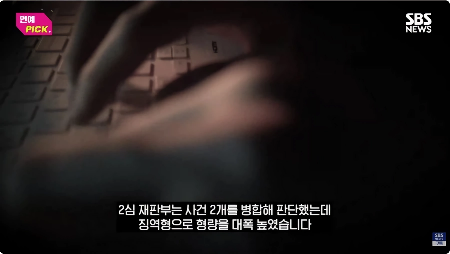 아이유 악플러 징역형