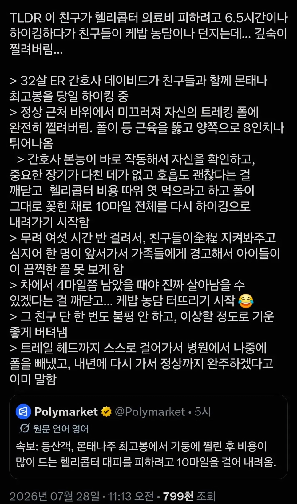혐)구조헬기 비용이 아까웠던 등산가가 한 일