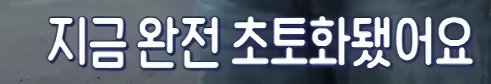 아침 방송에 나온 미친 년놈들