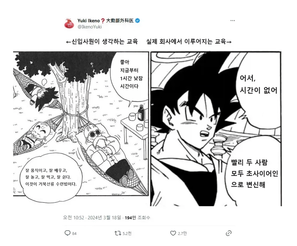 신입이 생각하는 회사 교육과 현실