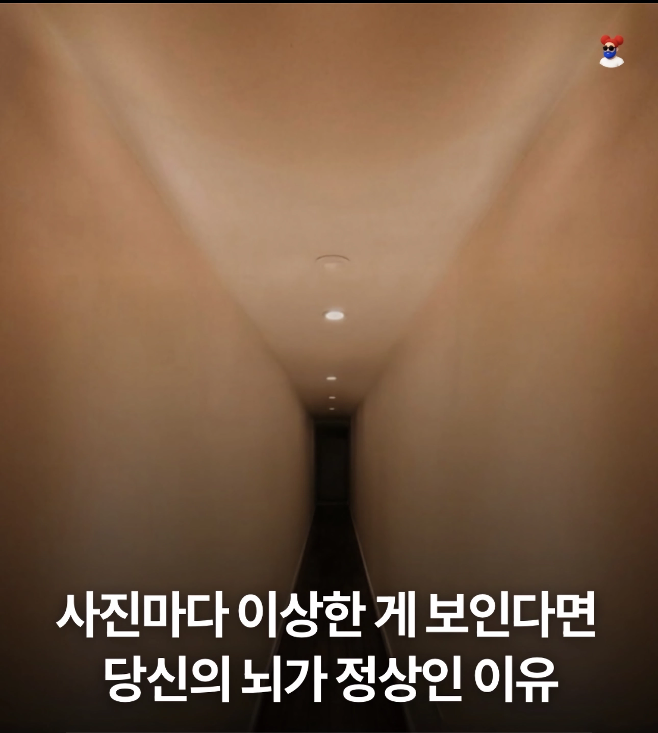 당신이 상상한거 뇌는 정상입니다