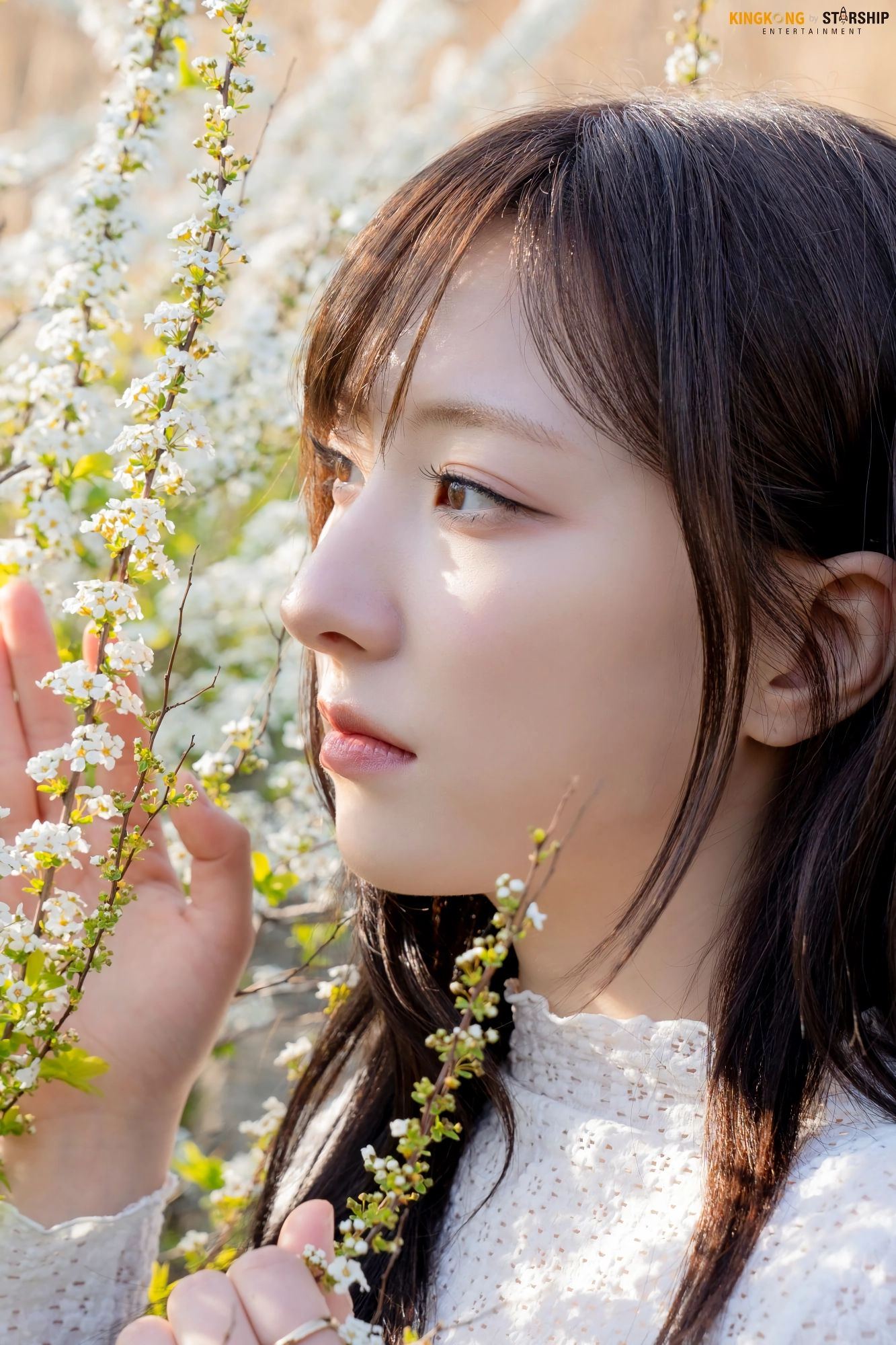손주연