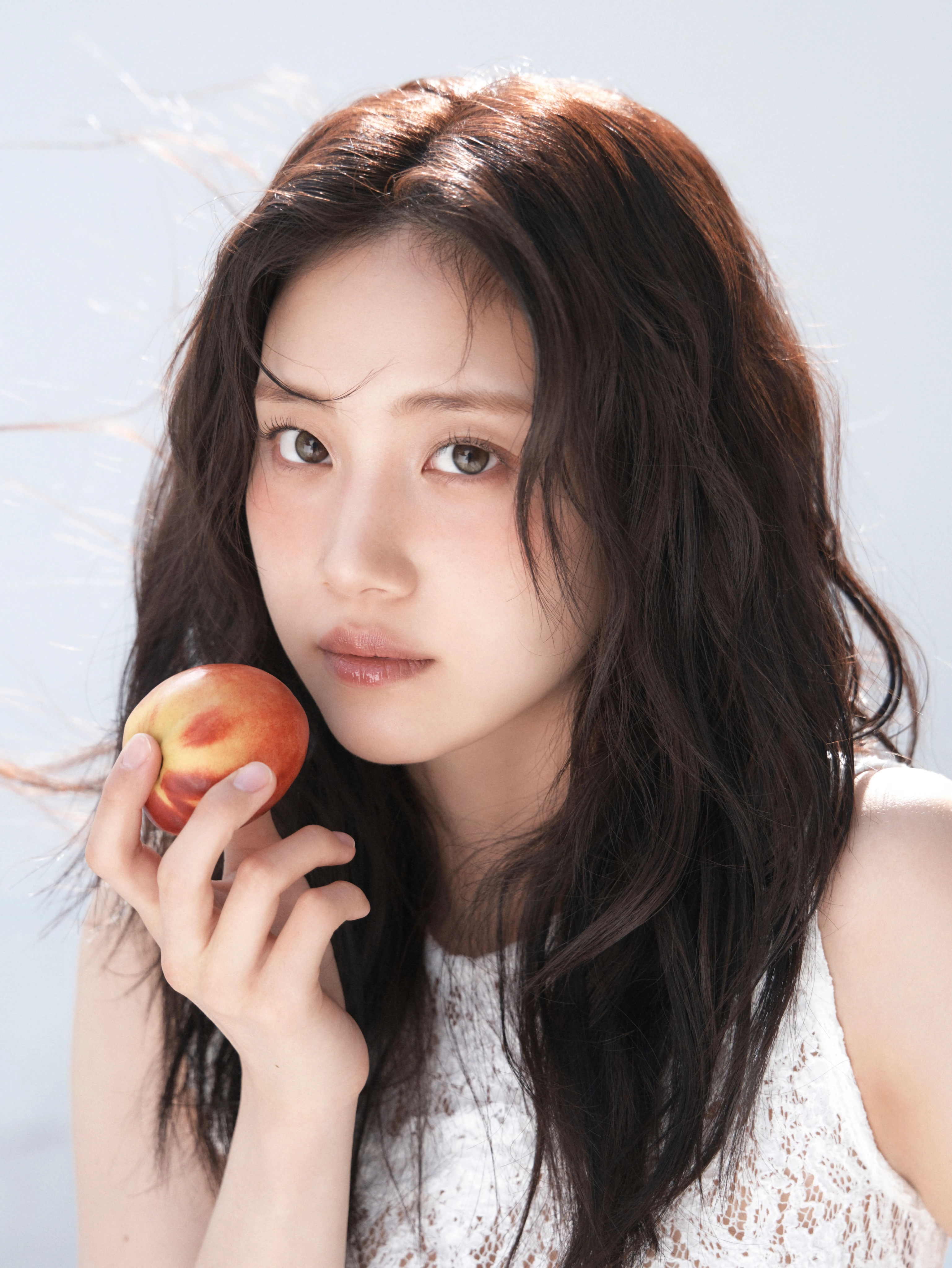 홍화연