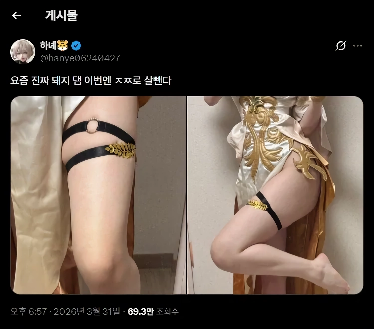 ㅇㅎ) 다이어트 선언한 코스플레이어