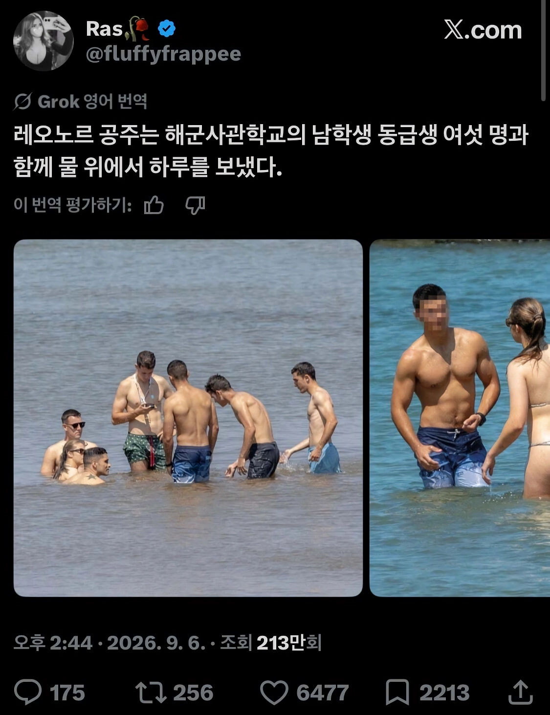 ㅇㅎ) 이번에 군입대한 스페인 레오노르 공주 사진.beach