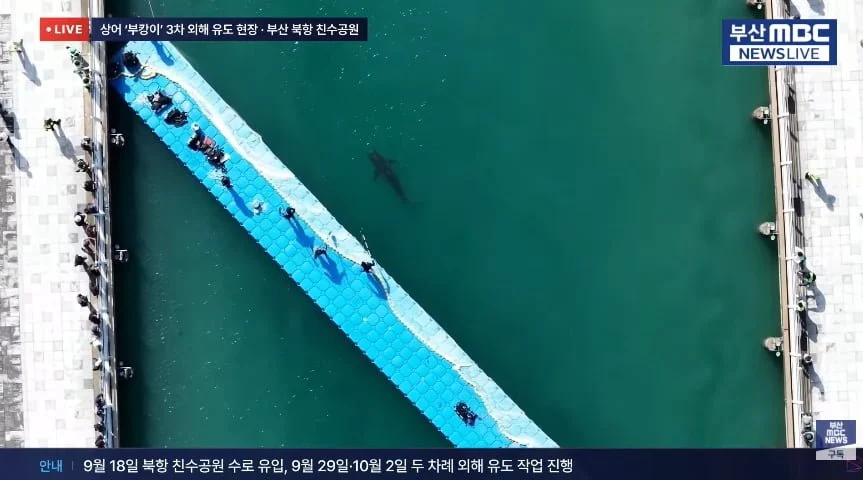 오늘자 부캉이 보내는 작업 사진