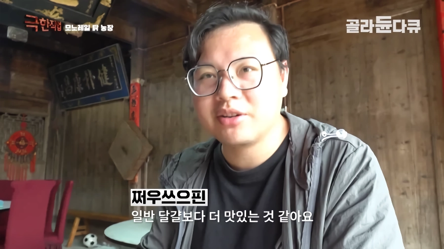 완전 동물복지 중국 닭 사육장