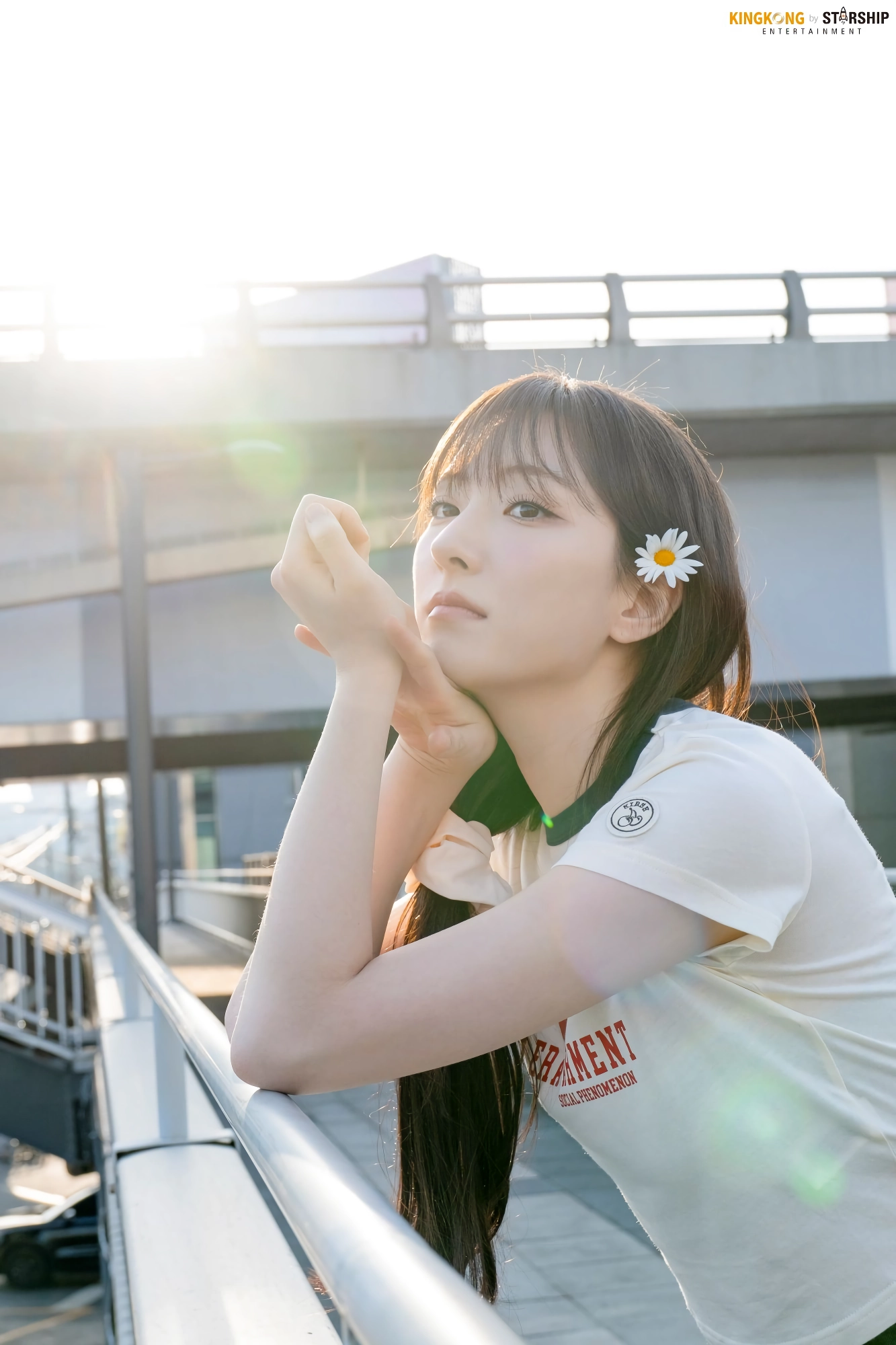 손주연
