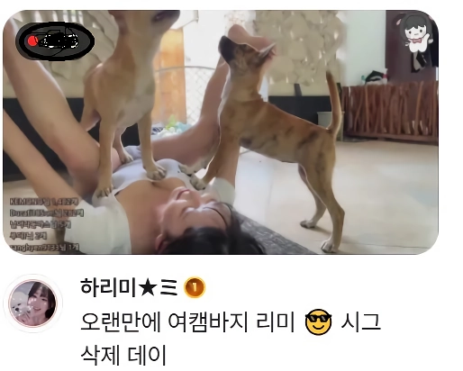 어제자 가슴 GOAT 하리미 썸네일