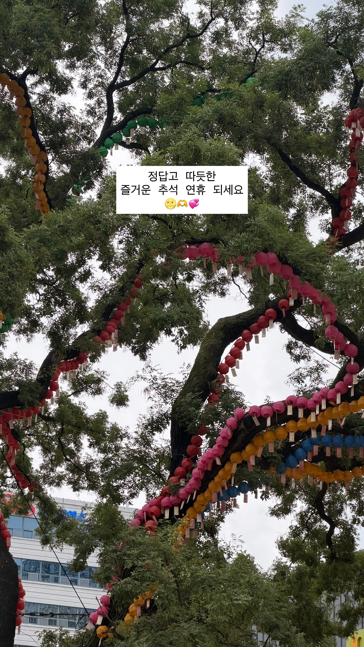 노윤서 인별 with 리정
