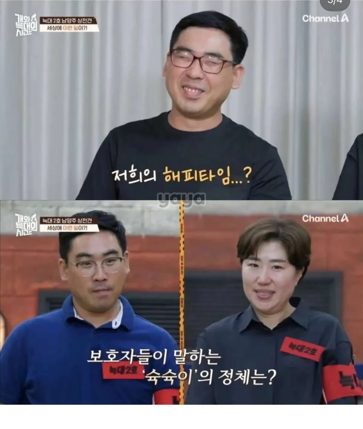 강아지 대딸 쳐주는 가족.jpg