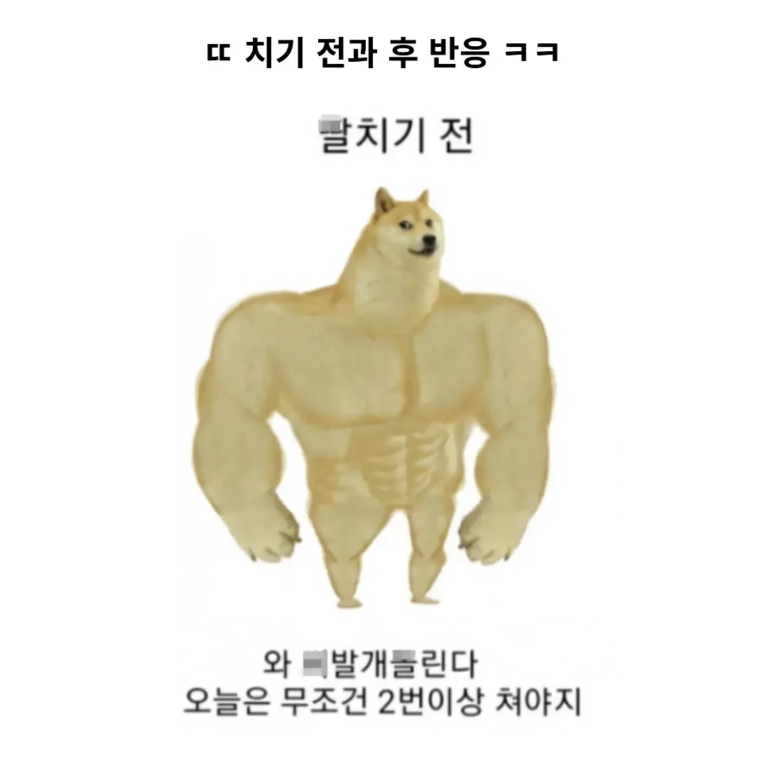 딸치기 전과 후 반응