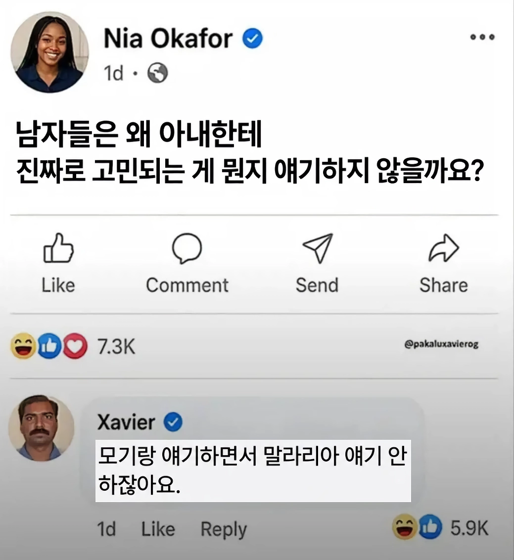 해외 밈 몇 개